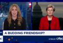Sen. Warren says Trump called her to work on credit card interest rate caps