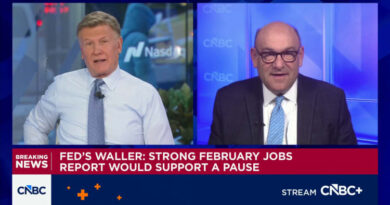 Fed's Goolsbee calls for a hold on cuts as current rate of inflation is 'not good enough'