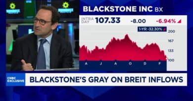 Blackstone’s Gray: Market ‘noise’ fueled record redemptions from world’s largest private credit fund