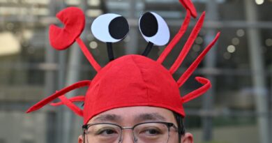 China’s tech firms feast on OpenClaw as companies race to deploy AI agents