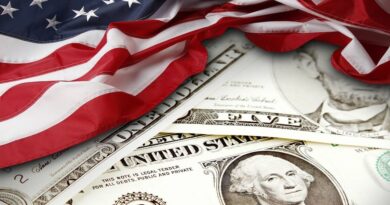 Pentagon Commits US$500 Million to Build US Rare Earth Refining Plant