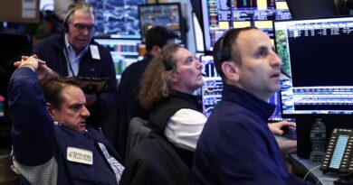Mag 7 and software could boost portfolio in second half: ETF Action