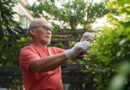 84% Take Only the RMD Minimum. Here’s When That’s Smart.